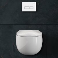 Roxen Egg в комплекте с инсталляцией StounFix Dual Fresh 6 в 1 964170 (кнопка: белый глянец) Image #9