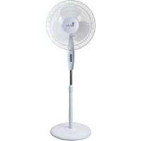 Vivaris VAF W043 043