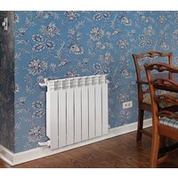 Oasis 350/80 (биметаллический) Image #2