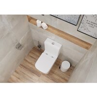 Lauter W09 S-TRAP с жестким сиденьем и микролифтом 21900004 (вертикальный выпуск) Image #7