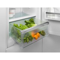 Холодильник Liebherr ICNSd 5603 Pure NoFrost - Превью изображения №14 — Интернет-Магазин TECNO.BY