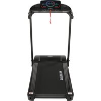 VictoryFit VF-4200 Image #2