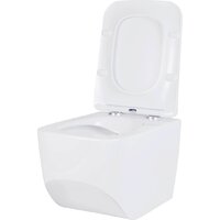 Roxen Boro в комплекте с инсталляцией StounFix Dual Fresh 6 в 1 577353 (кнопка: белый глянец) Image #6