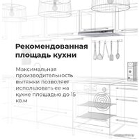 MAUNFELD MPA 50 (нержавеющая сталь) Image #8