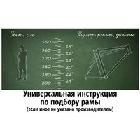 Arena Rocky 28 р.20 2025 (разобранный, черный) Image #2