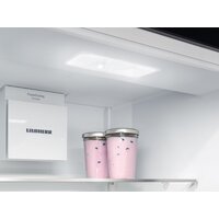 Холодильник Liebherr ICNd 5603 Pure NoFrost - Превью изображения №6 — Интернет-Магазин TECNO.BY