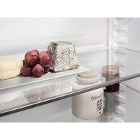 Холодильник Liebherr ICNd 5603 Pure NoFrost - Превью изображения №12 — Интернет-Магазин TECNO.BY