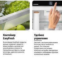 Холодильник Liebherr ICNd 5603 Pure NoFrost - Превью изображения №21 — Интернет-Магазин TECNO.BY