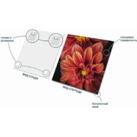 Stamprint Астра AR013 (50x50) Image #4