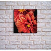 Stamprint Астра AR013 (50x50) Image #3