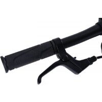 Maxiscoo S007 Pro 2024 (бронзовый) Image #8