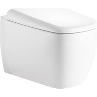 Roxen Martin в комплекте с инсталляцией StounFix Dual Fresh 6 в 1 868486 (кнопка: золото) Image #9