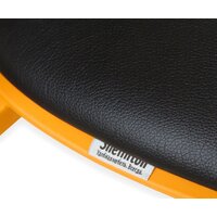 Sheffilton SHT-S111-CN1 (оранжевый/черный) Image #5