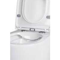 Roxen Antares в комплекте с инсталляцией StounFix Dual Fresh 6 в 1 569295 (кнопка: белый глянец) Image #9