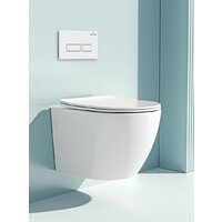 Roxen Antares в комплекте с инсталляцией StounFix Dual Fresh 6 в 1 569295 (кнопка: белый глянец) Image #10