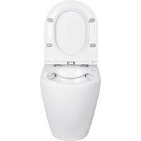 Roxen Antares в комплекте с инсталляцией StounFix Dual Fresh 6 в 1 569295 (кнопка: белый глянец) Image #7