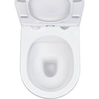 Roxen Antares в комплекте с инсталляцией StounFix Dual Fresh 6 в 1 569295 (кнопка: белый глянец) Image #8