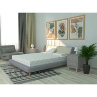 ЭОС Идеал 1а/2 160x200+Samsara Одуванчики Dark Евро 220-24 Image #6