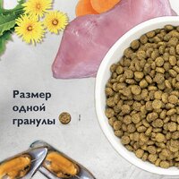 Brit care Cat Sterilised Weight Control с рыбой и индейкой 400 г Image #10