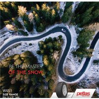 Зимние шины Petlas SnowMaster W651 235/40R18 95V - Превью изображения №6 — Интернет-Магазин TECNO.BY