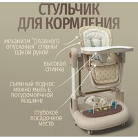 Bubago William BG 193-3 (мокко) Image #4