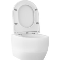 Wellsee Croquis RimFree 182612001 (чаша, пневмокрышка, матовый белый) Image #2