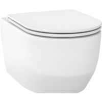 Wellsee Croquis RimFree 182612001 (чаша, пневмокрышка, матовый белый)