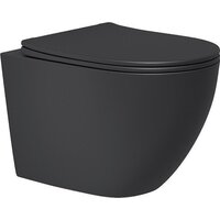 Lauter Augsburg с жестким сиденьем Soft Close 21109EC (черный матовый, скрытое крепление) Image #8