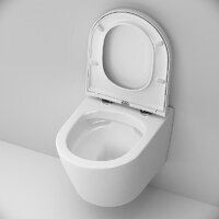 Унитаз подвесной AM.PM ErgoFit Sense FlashClean IS110101.741701 (с сиденьем) - Превью изображения №9 — Интернет-Магазин TECNO.BY