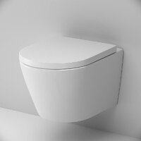 Унитаз подвесной AM.PM ErgoFit Sense FlashClean IS110101.741701 (с сиденьем) - Превью изображения №6 — Интернет-Магазин TECNO.BY