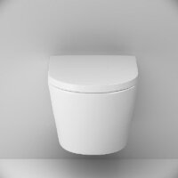 Унитаз подвесной AM.PM ErgoFit Sense FlashClean IS110101.741701 (с сиденьем) - Превью изображения №7 — Интернет-Магазин TECNO.BY