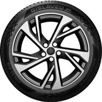 Летние шины Gislaved ActiveControl 205/55R16 91W - Превью изображения №2 — Интернет-Магазин TECNO.BY