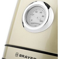 Brayer BR1005YE Image #5