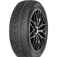 Autogreen Snow Chaser 2 AW08 225/55R16 95H