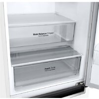 LG DoorCooling+ GC-B459MQWM Image #13