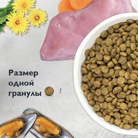 Brit care Cat Adult Delicious Taste с индейкой и уткой 1.5 кг Image #10