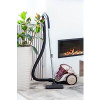 Pioneer VC325C (красный/золотистый) Image #9