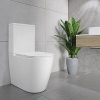 Унитаз напольный Lauter Vortex 2110022VF + гигиенический душ Sano 21LT1294GL - Превью изображения №26 — Интернет-Магазин TECNO.BY