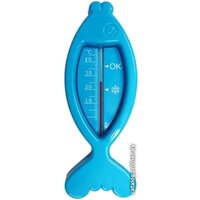 Первый термометровый завод Рыбка