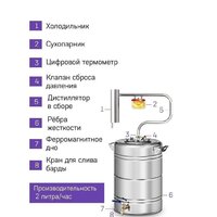 Феникс Шахтер (30л) Image #7