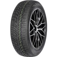 Autogreen Snow Chaser 2 AW08 225/55R17 97H