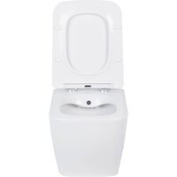 Roxen Cube bidet в комплекте с инсталляцией StounFix Dual Fresh 6 в 1 968472 (кнопка: брашированное золото) Image #6