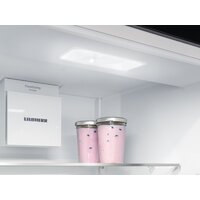 Холодильник Liebherr ICNd 5123 Plus NoFrost 5123-22001 - Превью изображения №12 — Интернет-Магазин TECNO.BY