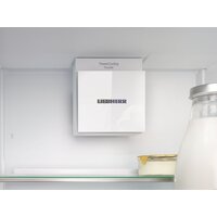 Холодильник Liebherr ICNd 5123 Plus NoFrost 5123-22001 - Превью изображения №13 — Интернет-Магазин TECNO.BY