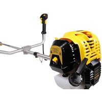 Champion T394FS-2 Image #3