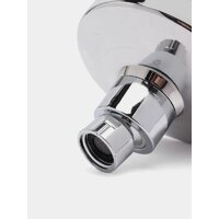 Potato Р47-4 Image #6