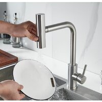 Shevanik S263L Image #14