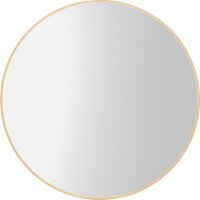 Saniteco Зеркало 1BE10 100 (бежевый)