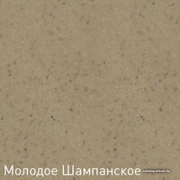 Кухонная мойка Zigmund & Shtain Platz 465 (молодое шампанское) - Превью изображения №8 — Интернет-Магазин TECNO.BY