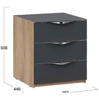 Трия Глосс ТД-319.03.02 (яблоня беллуно/стекло графит матовый) Image #2